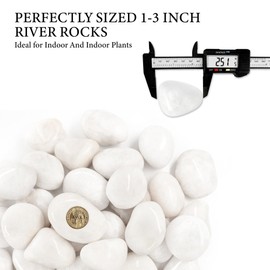 BIOMAND 18lb White River Rocks for Plants, 1-3 Inch Pebbles for Indoor Plants, Polished Garden Rocks Outdoor Landscaping, Decorative Stones for Vases, Succulents, Aquarium, Walkways