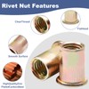 Rivet Nuts,100Pcs 1/4-20 SAE Rivet Nuts,Zinc Plated Carbon Steel Rivet