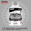 Creatina Essential. Creatina Monohidrato. Rendimiento deportivo de alto nivel, potencia,