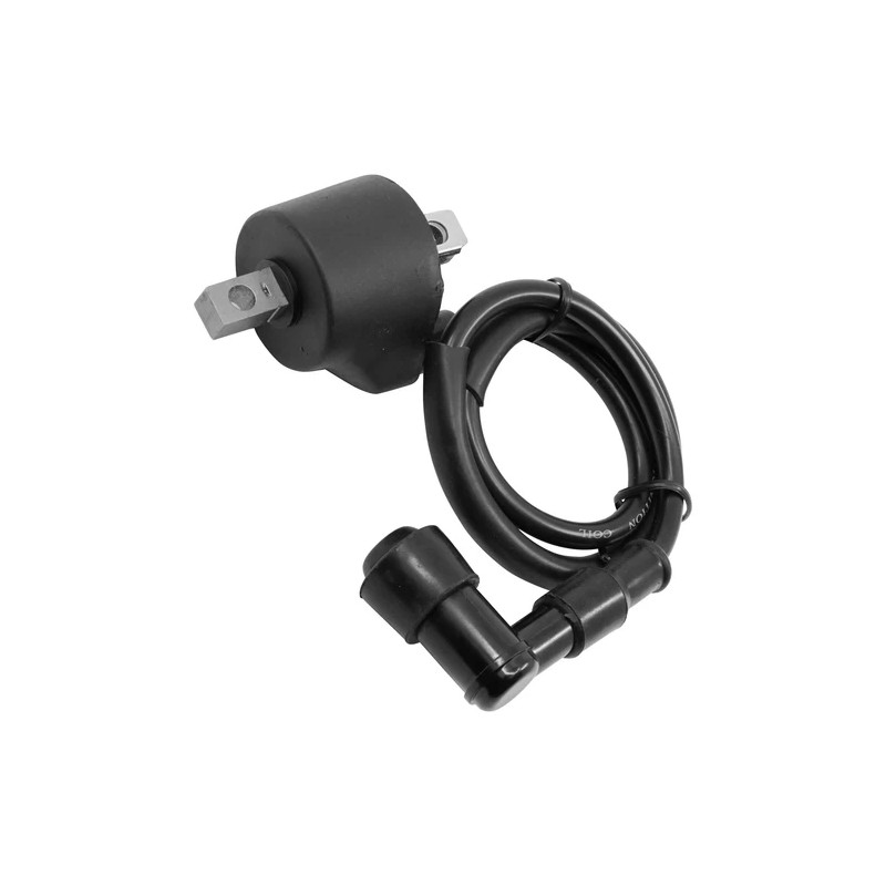 Caltric Ignition Coil for Polaris Xplorer 250 4X4 2000-2002