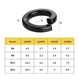 M6 Spring Lock Washer (M16)
