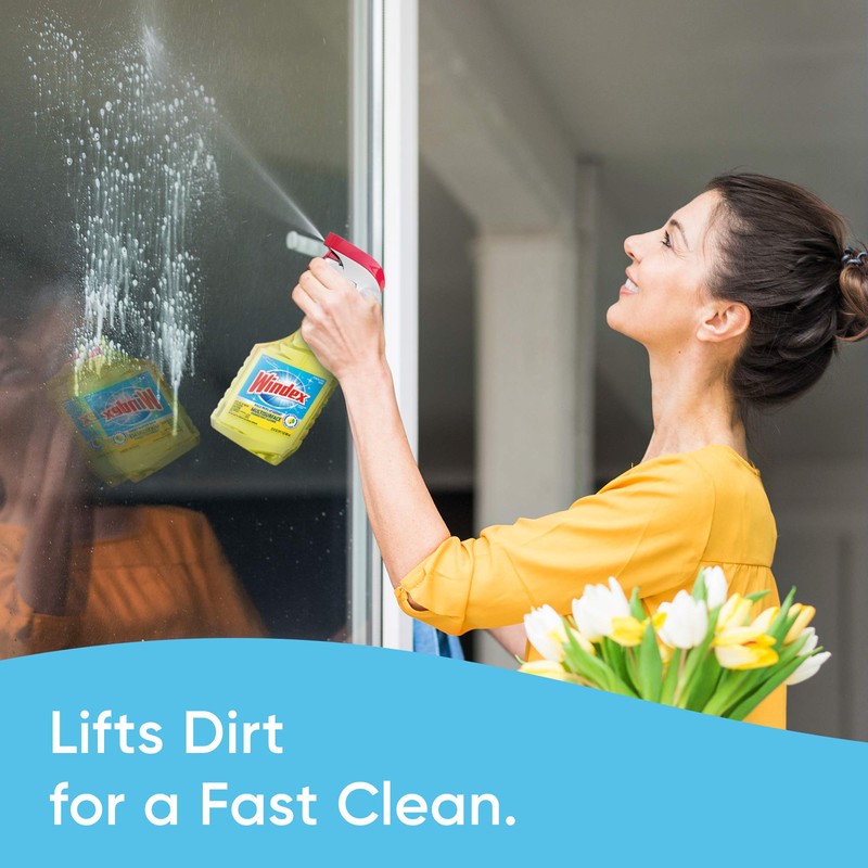 Windex Multi-Surface Cleaner and Disinfectant Refill Bottle, Citrus Fresh Scent,