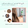 SAUCE BEAUTY Intense Repair Shampoo - Chimichurri Mint Tingle Hair