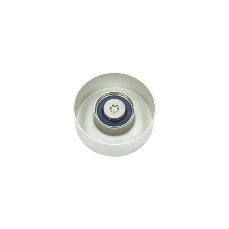 INA 532 0569 10 Deflection/Guide Pulley, V-Ribbed Belt