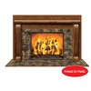 Fireplace Insta-View Party Accessory (1 count) (1/Pkg)