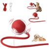 Interactive Cat Toy Cat Ball Electric Charging via USB Magic