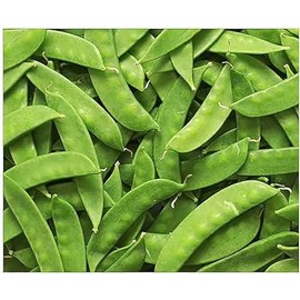 50 Oregon Snow Pea Heirloom Seeds - Non GMO - Neonicotinoid-Free