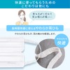 Iris Ohyama PK-NI30L Non-Woven Mask, Made in Japan, Nano Air