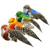 4pcs Artificial Birds Clip on Bird Ornaments with Feathers for
