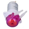 Peristaltic Pump Mini DC Small Micro Circulating Electric Self Priming