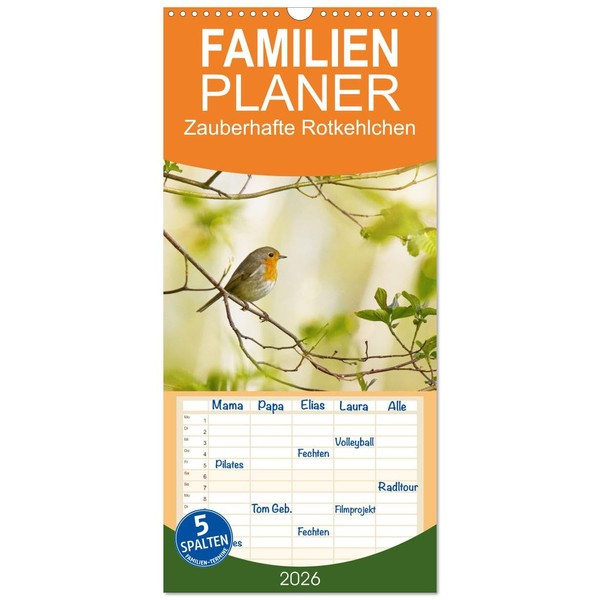 Familienplaner 2026 - Zauberhafte Rotkehlchen mit 5 Spalten (Wandkalender, 21