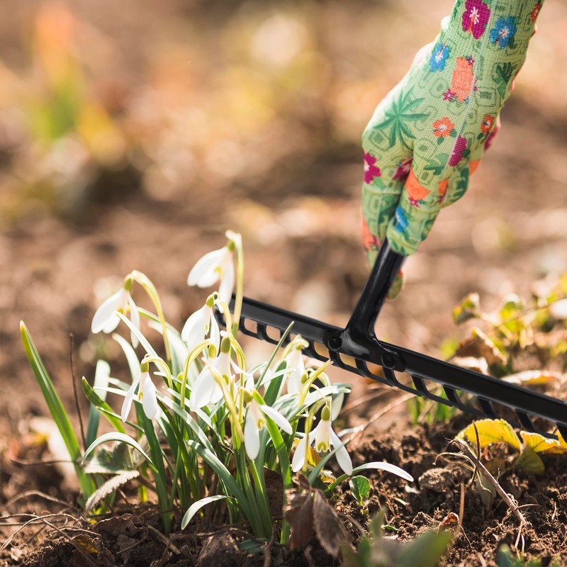 KADAX Garden Rake without Handle, Metal Garden Rake, Lawn Rake