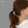 JewelVOX Hair Accessories, Glitter, Curve Plate, Women's, Stylish, Adult, Gray