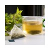 Revolution Herbal Tea Spearmint & Peppermint See 0.9 oz (24