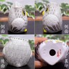 Owl Figurine Pottery Kutani Ware Owl White Sheng Black Feng