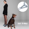 JanToPet Dog Chain Collar Stainless Steel Adjustable Walking Collar Metal