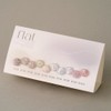 Revzel Revgel Flat Velvet Magnetic Gel 10 Piece Set /