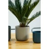 Ivyline Lisbon Planter Light Grey D13.5Cm