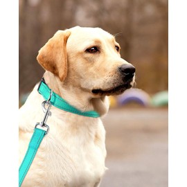 FunTags Reflective Dog Collar, Sturdy Nylon Collars for Large Girl and Boy Dogs, Adjustable Dog Collar with Quick Release Buckle, Turquoise