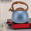 3 Liter Whistling Tea Kettle Stainless Steel Teapot with Handle