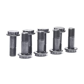 LUK 411017310 Flywheel Screw Set