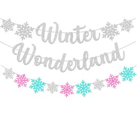 3Pcs Winter Wonderland Banners, Glittery Snowflake Banner Christmas Decorations Banners Winter Holiday Garland Photo Props Banner for Party Home Decor (Silver Blue Pink)