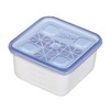 Asahi-Kasei Home Products Bento Box, Container, Storage Container, Square, 4
