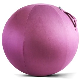 Howdy Bally Protective Cover for Home-Use Yoga/Exercise/Balance Ball with Convenient Carry Handles, Foldable Durable Anti-Burst Cover for Sitting Ball Chair Office Use 65cm