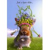 RSVP Birthday Greeting Card Rabbit Wearing Floral Headdress Funny/Humorous