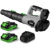 Leaf Blower, 21V Cordless Electric Blower with 2 2.0Ah Batteries