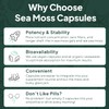 Organics Ocean Wild Sea Moss Capsules - 100% Organic Irish