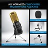 iDance Professional Vocal Transducer Condenser Microphone, Plug & Play Studio
