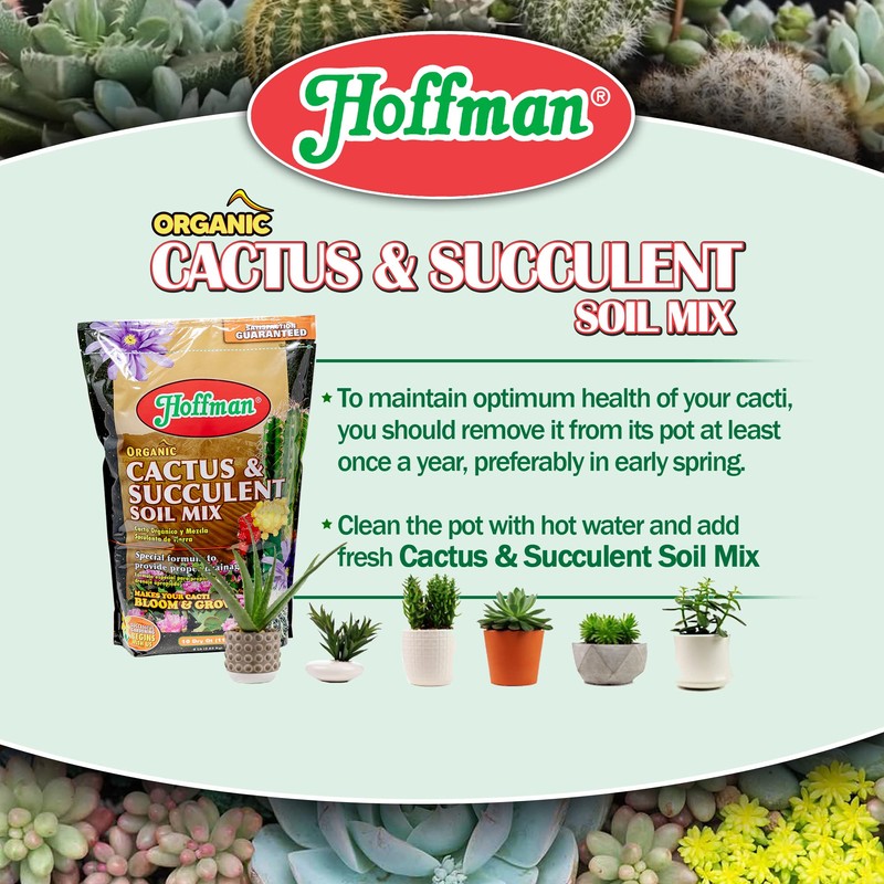 Hoffman Organic Cactus and Succulent Soil Mix to Provide Proper