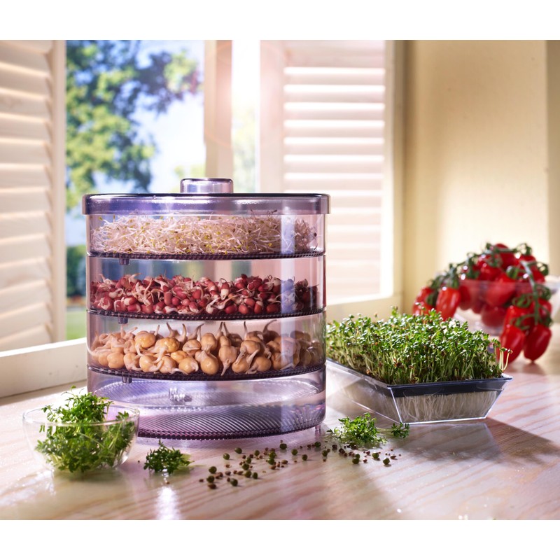 Dehner Kitchen Germination Box, with 4 trays