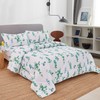 JSD 3 Piece Eucalyptus Leaves Comforter Set Queen Size, All
