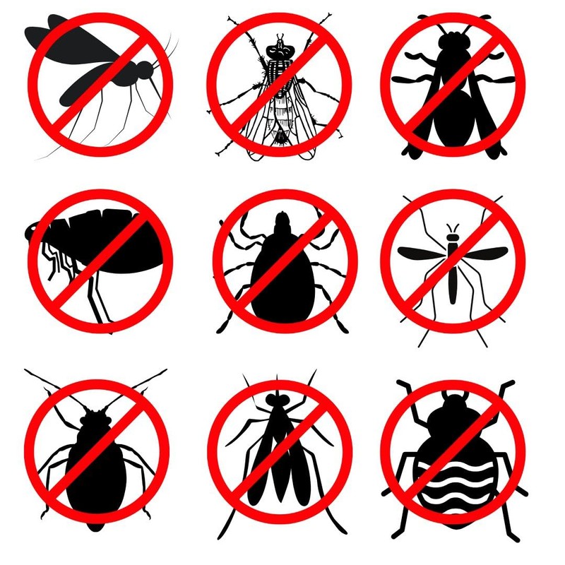 Skeeter Weeper® Premium Natural Mosquito/Pest Misting Solution (Concentrate)