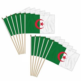 Algeria 12x18in Stick Flag - 1 dozen pack