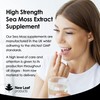 Sea Moss Tablets Extract High Strength 2000mg - Sea Moss