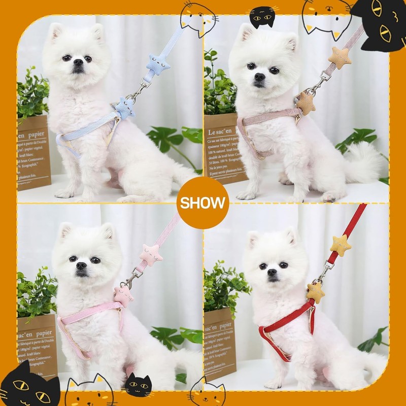 Generic Cat Harness and Leash Set, Escape-Proof, Adjustable, Complete Kit,