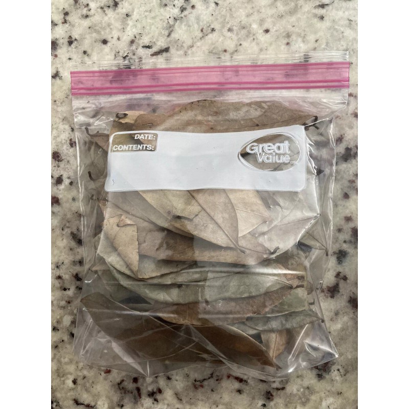 100% Pure 100 % Organic Soursop Leaves, dried Leaves From