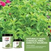 Stevia Powder | 100% Natural Zero Calorie Sweetener | Plant