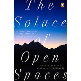 The Solace of Open Spaces