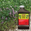 Hi-Yield (33430) Atrazine Weed Killer (32 oz)