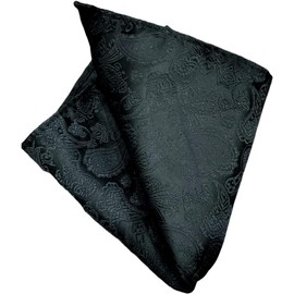 Elnuk Styles 100% Black Paisley Twill Pocket Square Hanky Handkerchief (Regular Size)