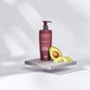 Tulipan Black Coloured Hair Shampoo Sulfate and Parabens Extractor-Ratant 500