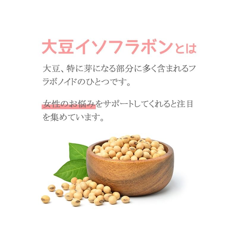 【リプサ公式】 大豆イソフラボン粒 約3か月分×2袋 T-713-2 国内製造
