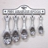 Dulton 100-029 Fish Measuring Spoon Set, Aluminum, Set of 5