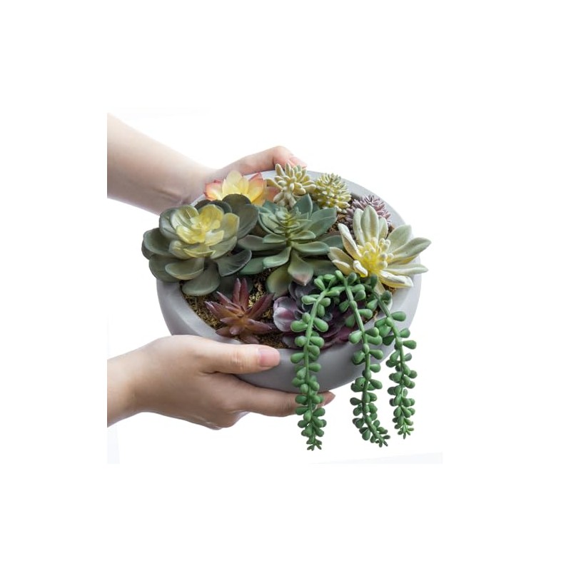 MyGift 20,3 centímetros Arreglo de Plantas suculentas Artificiales en Maceta