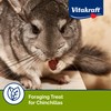 Vitakraft Chinchilla Cocktail Mixed Fruit Treat, 4.5 Ounce Pouch