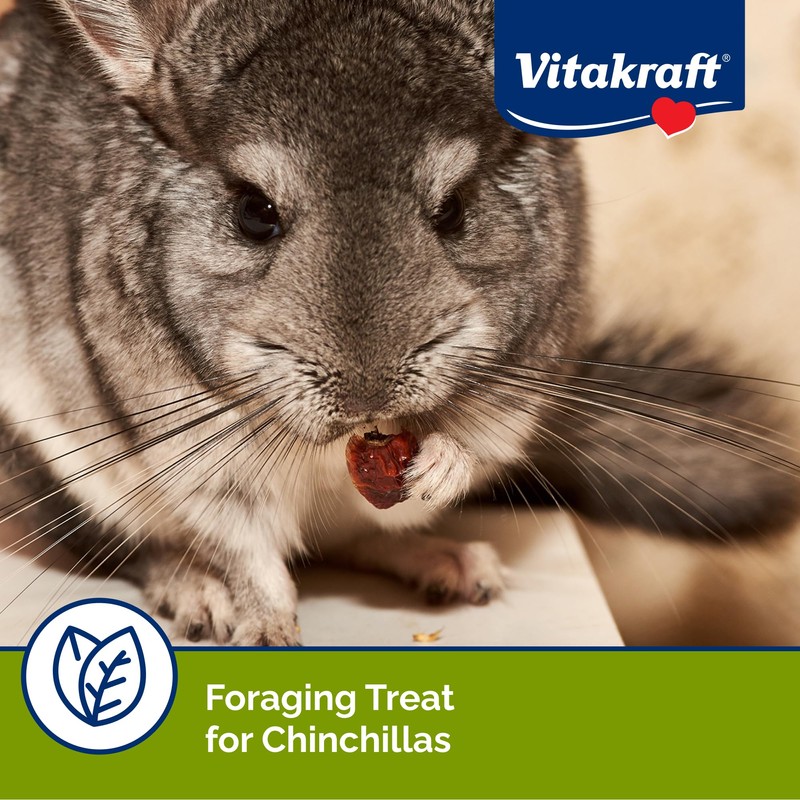 Vitakraft Chinchilla Cocktail Mixed Fruit Treat, 4.5 Ounce Pouch